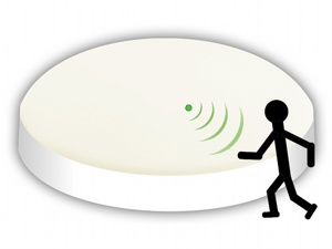 LED Wand-/Deckenleuchte, 21 W, 2050 lm, 3000 K