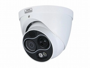 Burg 4 MP Wärmebild-IR Hybrid IP Dome Kamera